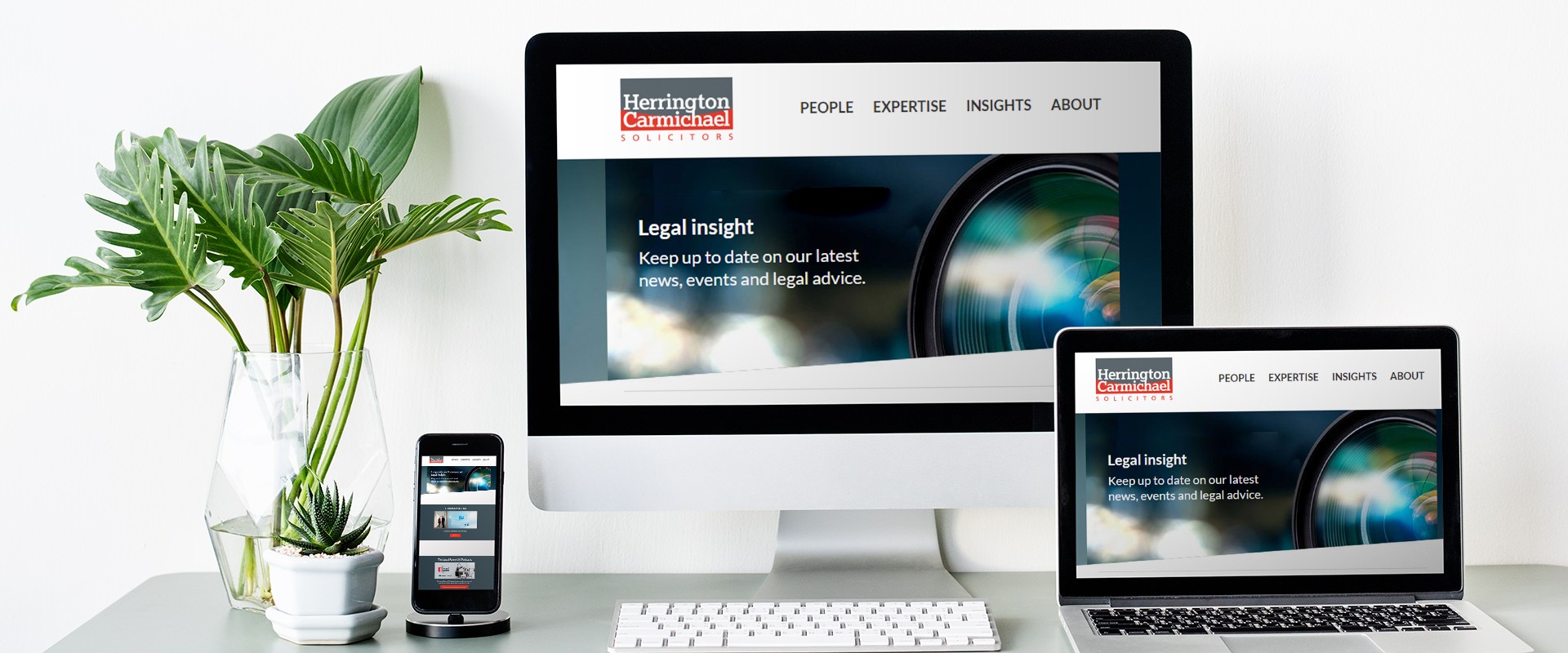legal-insight-banner