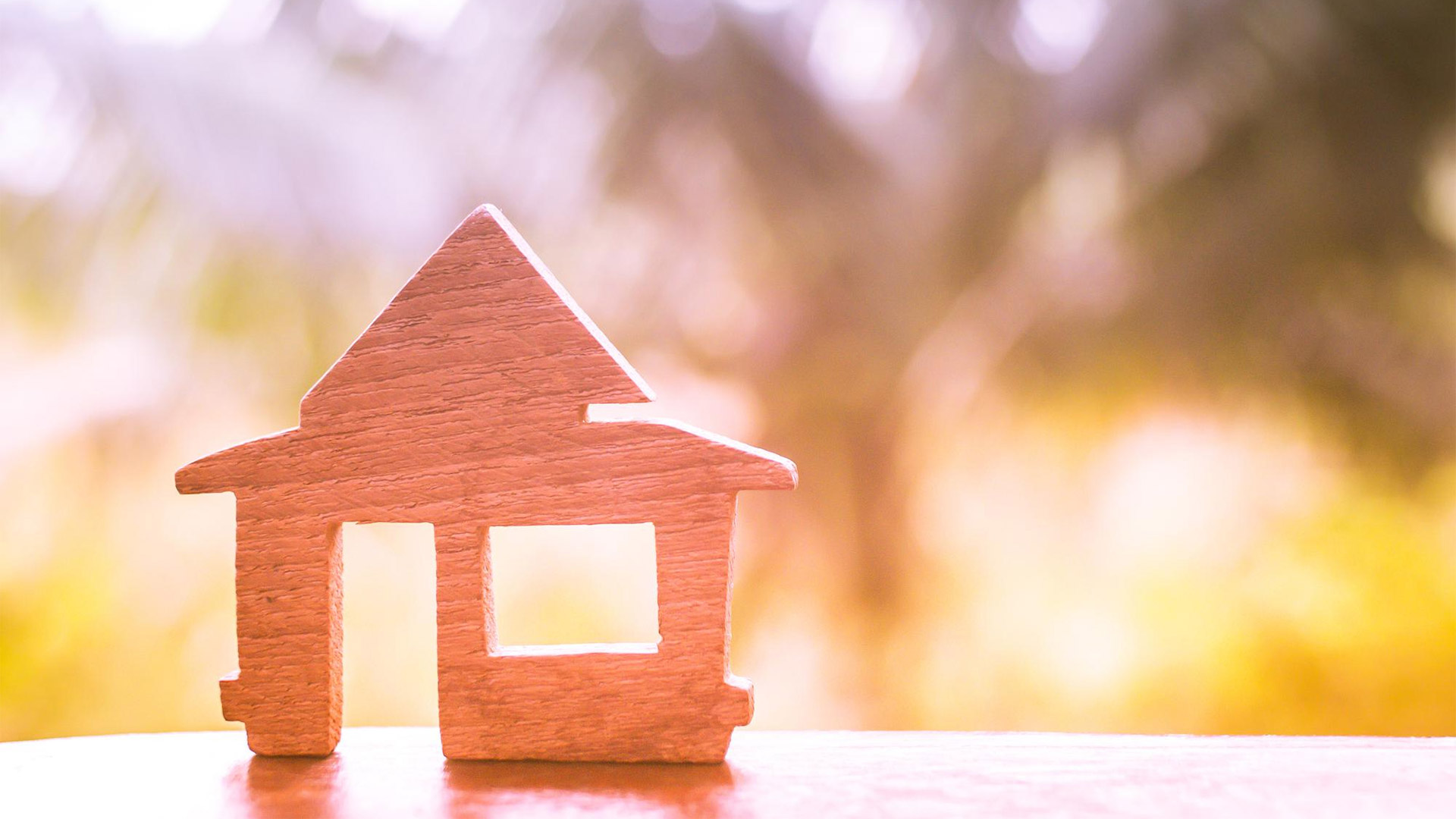 Buying a house at auction is not ALL the buyers risk